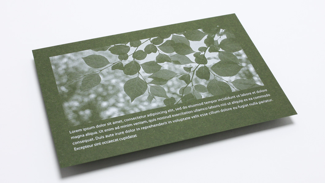 葉っぱイメージのDM_01